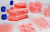 Cell Culture Plastics